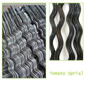 Tomato Spirals/Tomato Cage - A Really Handy Space Saving Plant Support